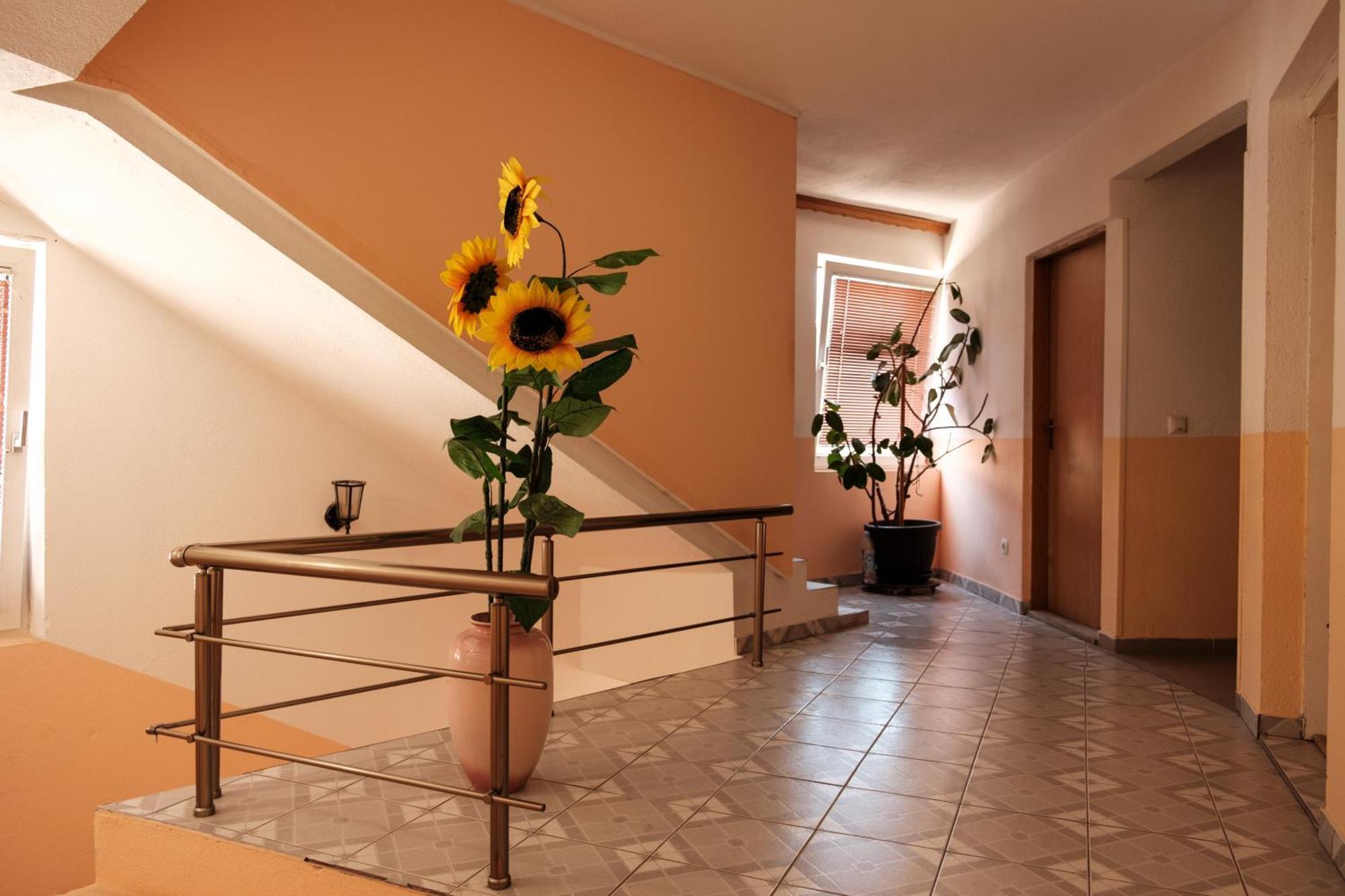 Guesthouse "Ines" Добой Екстер'єр фото